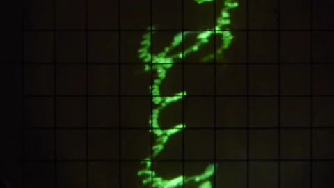 Oscillograph. Data graph. Green abstract glowing pattern. Statistics pattern. Stock Footage 142684990