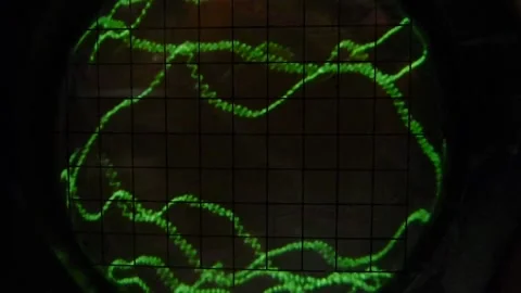 Oscillograph. Data graph. Green abstract glowing pattern. Statistics pattern. Stock Footage 142685081