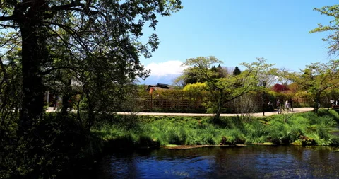 Oshino Hakkai Stock Footage 295758641