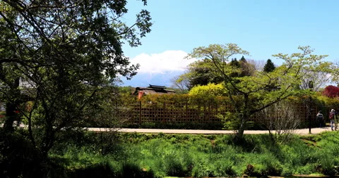 Oshino Hakkai Stock Footage 295758672