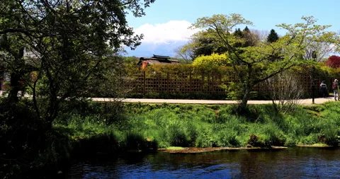 Oshino Hakkai 스톡 동영상 295758803