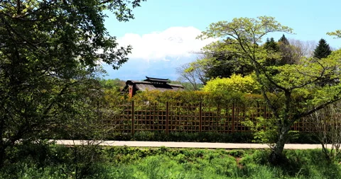 Oshino Hakkai Stock Footage 295758830