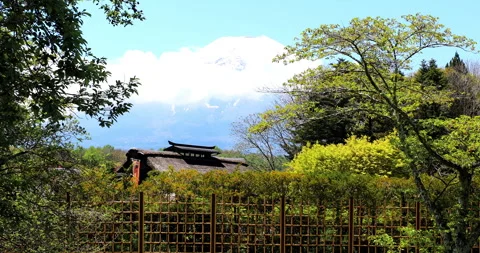 Oshino Hakkai 動画素材 295758931