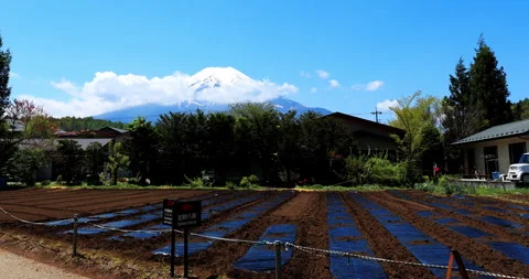 Oshino Hakkai Stock Footage 295759319
