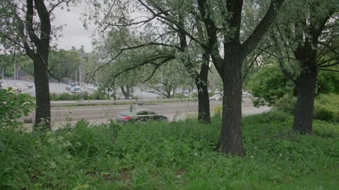 Oslo highway seen through green park trees with moving traffic and marina in Stock Footage 314050968