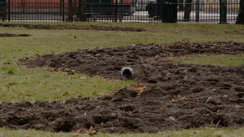 Oslo lockdown during Covid-19 in March 2020 库存影片 127077397