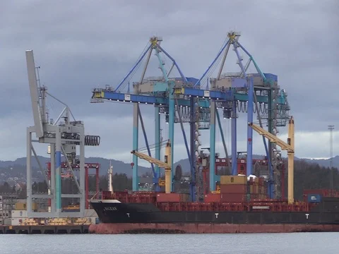 Oslo, Norway - Container Crane Timelapse Stock Footage 80553967