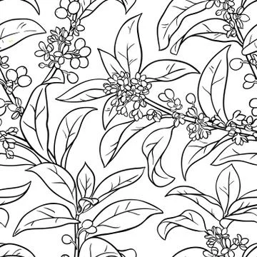 Osmanthus seamless pattern Stock Illustration