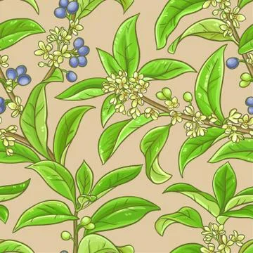 Osmanthus vector pattern Stock-Illustration