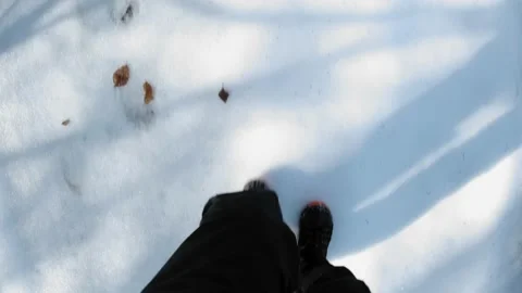 Osmo 2 動画素材 168254043