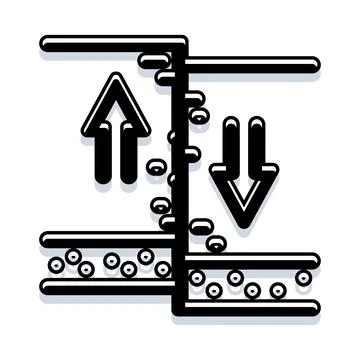 Osmosis process showing water diffusion through membrane Stock Illustration