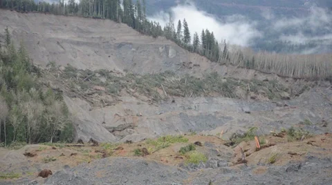 Oso Washington Mudslide Stock Footage 37587517