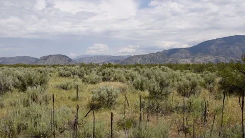Osoyoos Desert Center Stock Footage 285114220