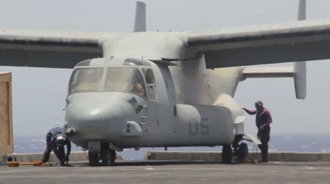 Osprey On Carrier - Loading Cargo 01 Video stock 29404505