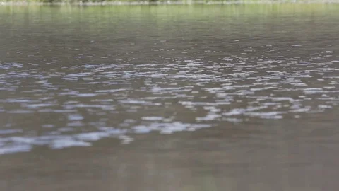 Osprey catching fish in slow motion. Stock Footage 69938408