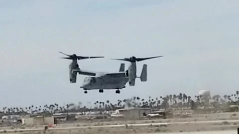 Osprey Stock Footage 138442792