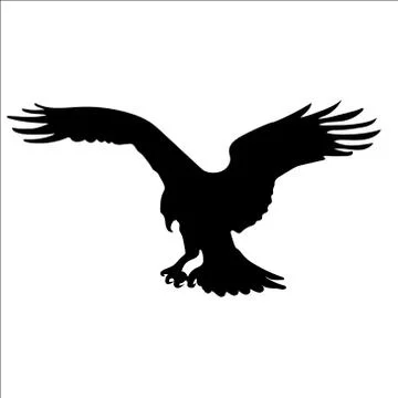 Osprey Ilustración de archivo