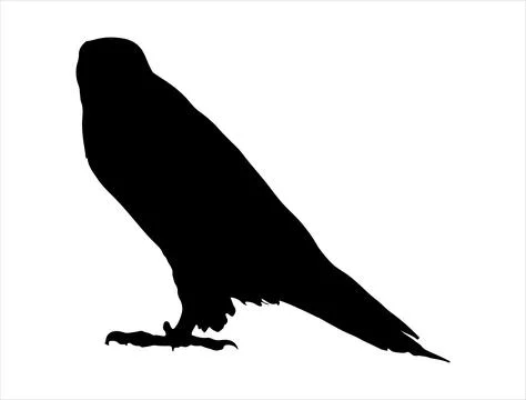 Osprey silhouette vector art Stock Illustration