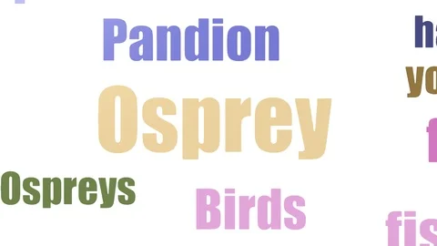 Osprey Word Cloud Animated Isolated On White Stock Footage 103562524