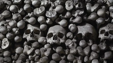 Ossuary of Ancient Skulls Stock Footage 264674512