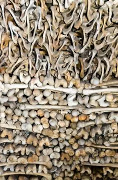 Ossuary of Custoza Stock Photos
