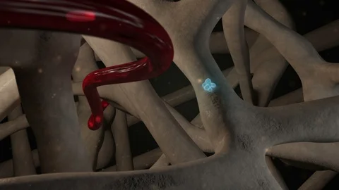 Osteoclast Activity Stock Footage 121743133