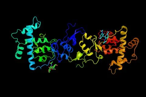 Osteonectin, an acidic extracellular matrix glycoprotein that plays a vital.. Stock Illustration