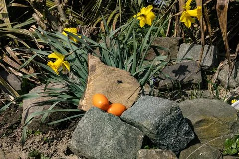 Ostergruss Stock Photos