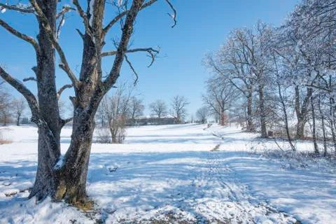 Osterseen winter scenery Stock Photos