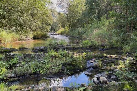 Ostravice river landscape. Stock Photos