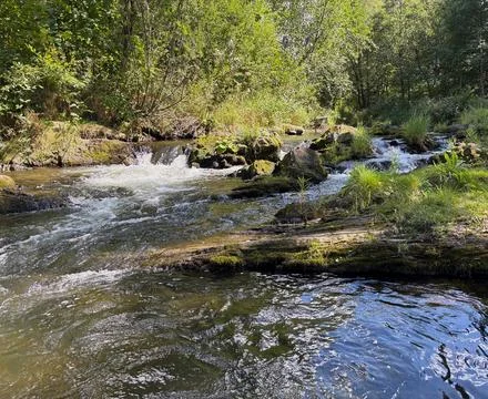 Ostravice River Rapids. Stock Photos