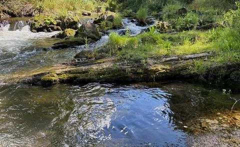 Ostravice river rapids. Stock Photos