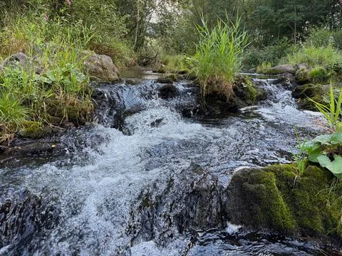 Ostravice river rapids. Stock Photos