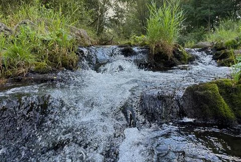 Ostravice river rapids. Stock Photos