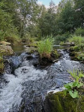Ostravice river rapids. Stock Photos