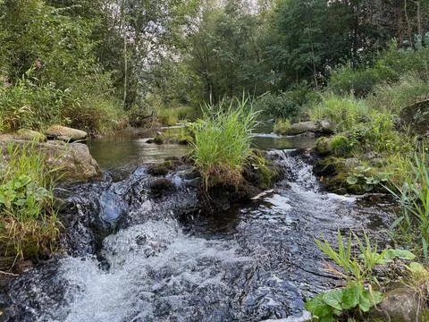 Ostravice river rapids. Stock Photos