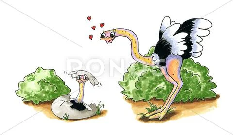 Ostrich with baby Stock Illustration