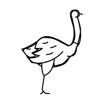Ostrich bird line icon vector illustration Stockillustratie