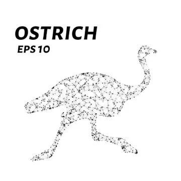 The ostrich consists of points, lines and triangles. The polygon shape in t.. Stock Illustration
