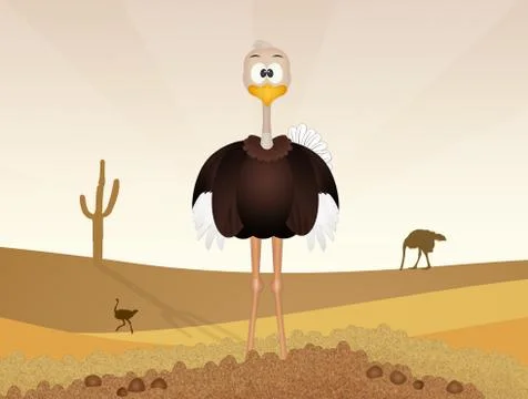 Ostrich in the desert Stock Illustration