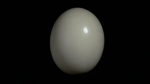 An ostrich egg isolated on a black background Stock Footage 145005658