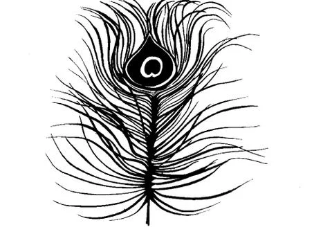 Ostrich feather Stock Illustration