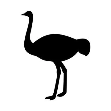 Ostrich icon Stock Illustration