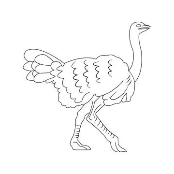 Ostrich icon Stock Illustration