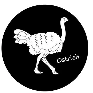 Ostrich icon Stock Illustration
