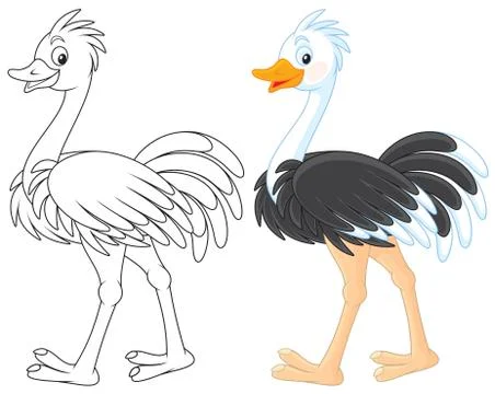 Ostrich Stock Illustration