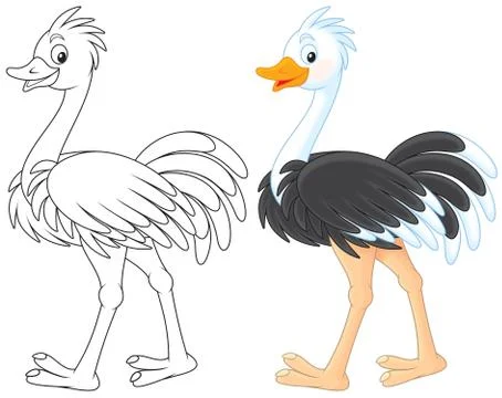 Ostrich Stock Illustration