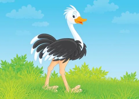 Ostrich Stock Illustration