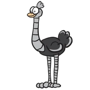 Ostrich Stock Illustration