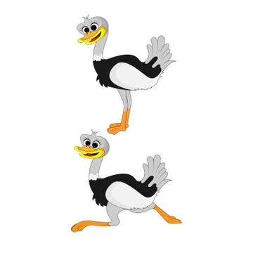 Ostrich Stock Illustration